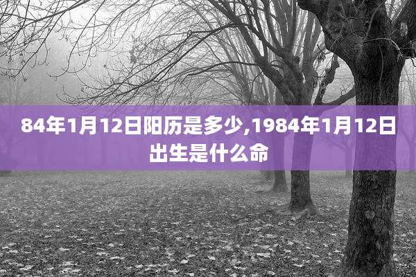 84年1月12日阳历是多少,1984年1月12日出生是什么命