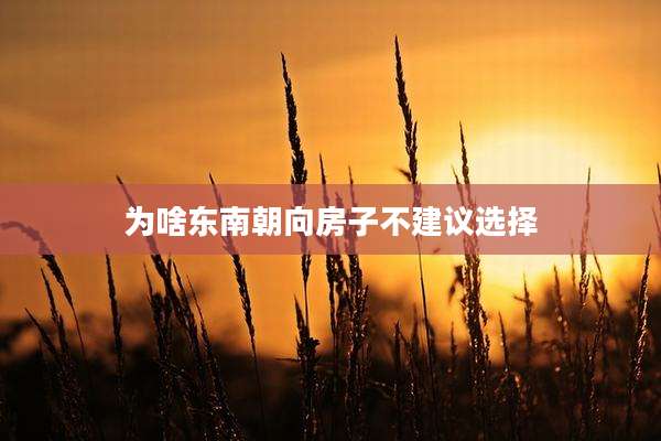 为啥东南朝向房子不建议选择