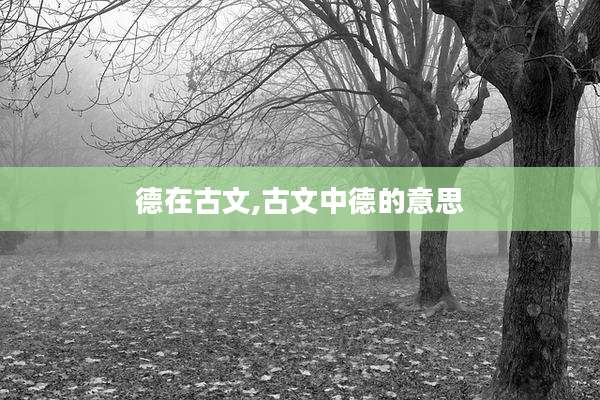 德在古文,古文中德的意思