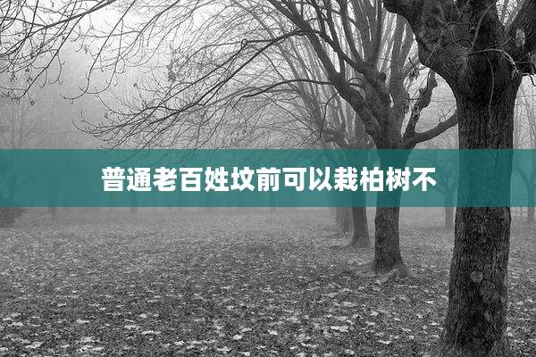 普通老百姓坟前可以栽柏树不