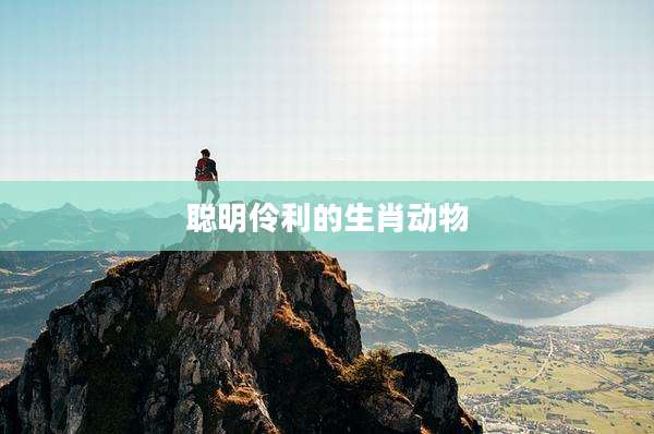 聪明伶利的生肖动物