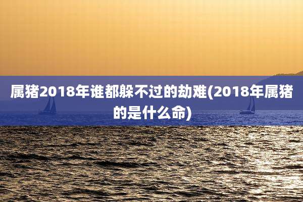 属猪2018年谁都躲不过的劫难(2018年属猪的是什么命)
