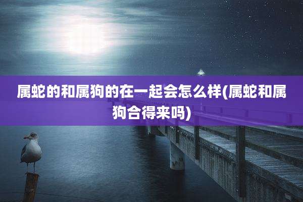 属蛇的和属狗的在一起会怎么样(属蛇和属狗合得来吗)