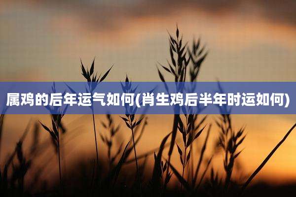 属鸡的后年运气如何(肖生鸡后半年时运如何)