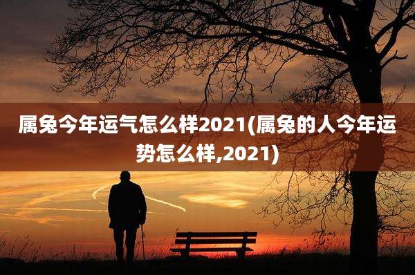 属兔今年运气怎么样2021(属兔的人今年运势怎么样,2021)