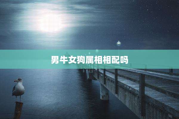 男牛女狗属相相配吗