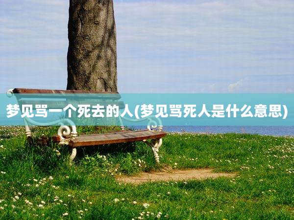 梦见骂一个死去的人(梦见骂死人是什么意思)
