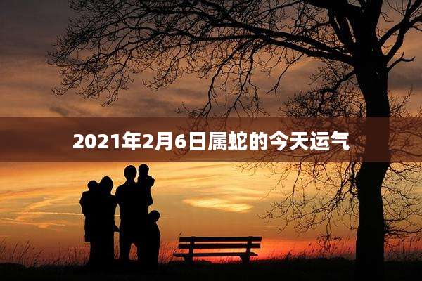 2021年2月6日属蛇的今天运气