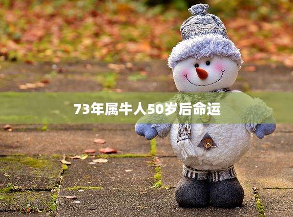 73年属牛人50岁后命运