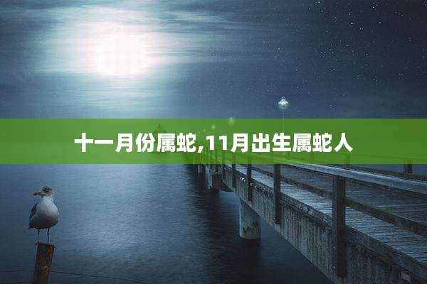 十一月份属蛇,11月出生属蛇人
