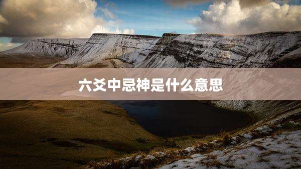 六爻中忌神是什么意思