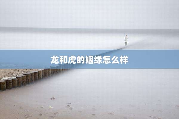 龙和虎的姻缘怎么样