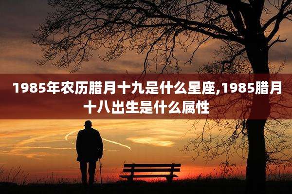 1985年农历腊月十九是什么星座,1985腊月十八出生是什么属性