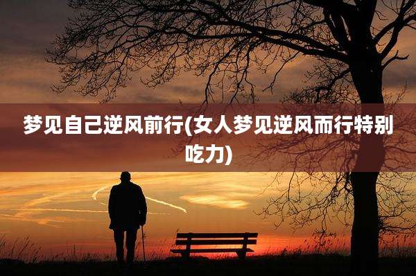 梦见自己逆风前行(女人梦见逆风而行特别吃力)