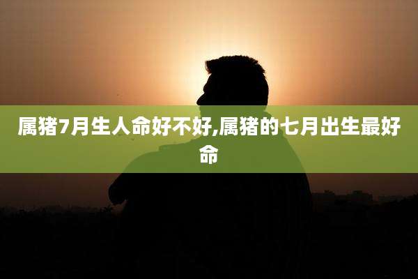 属猪7月生人命好不好,属猪的七月出生最好命