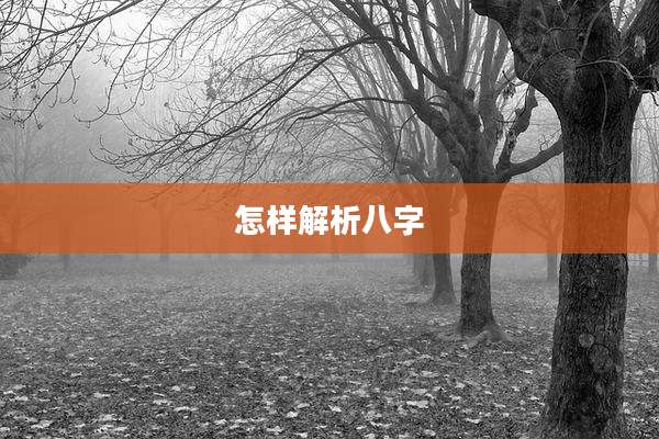 怎样解析八字