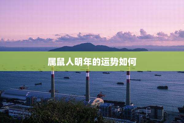 属鼠人明年的运势如何