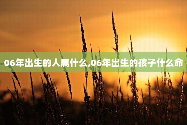 06年出生的人属什么,06年出生的孩子什么命