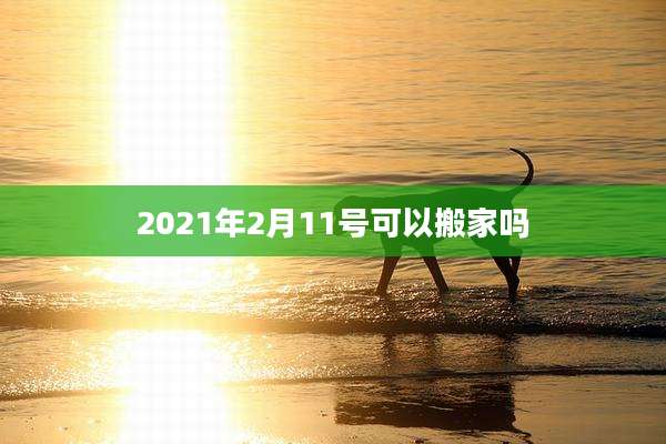 2021年2月11号可以搬家吗