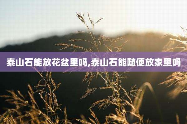 泰山石能放花盆里吗,泰山石能随便放家里吗