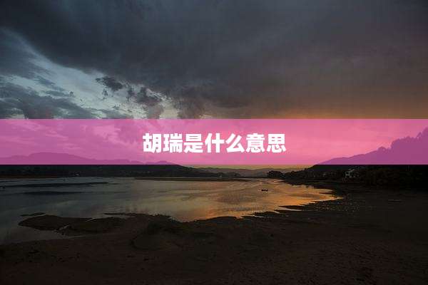 胡瑞是什么意思