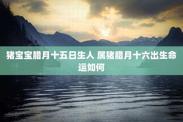 猪宝宝腊月十五日生人 属猪腊月十六出生命运如何