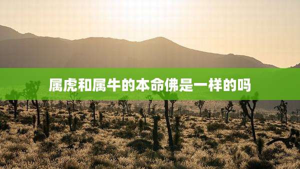属虎和属牛的本命佛是一样的吗