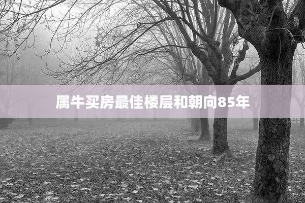 属牛买房最佳楼层和朝向85年