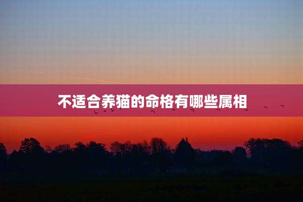 不适合养猫的命格有哪些属相