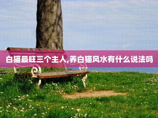 白猫最旺三个主人,养白猫风水有什么说法吗