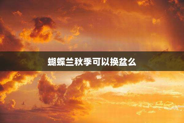 蝴蝶兰秋季可以换盆么