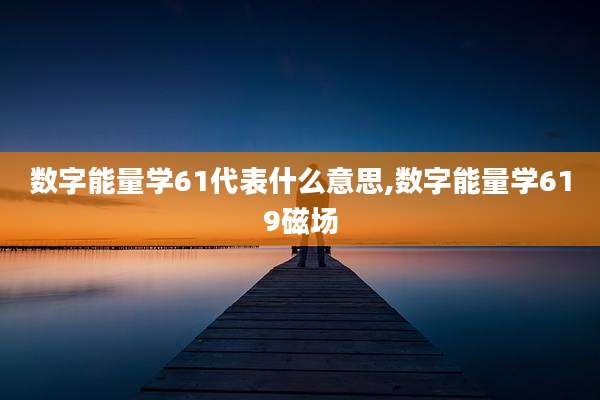 数字能量学61代表什么意思,数字能量学619磁场