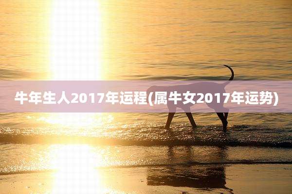 牛年生人2017年运程(属牛女2017年运势)