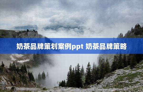 奶茶品牌策划案例ppt 奶茶品牌策略