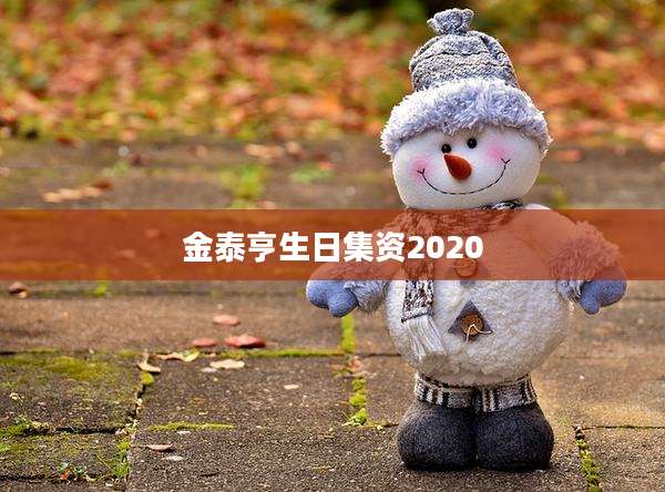 金泰亨生日集资2020