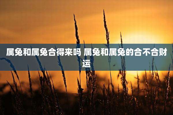 属兔和属兔合得来吗 属兔和属兔的合不合财运