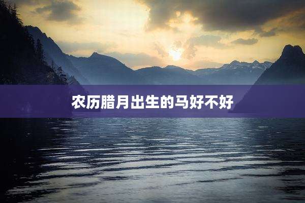 农历腊月出生的马好不好
