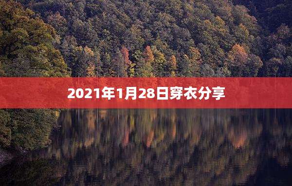 2021年1月28日穿衣分享
