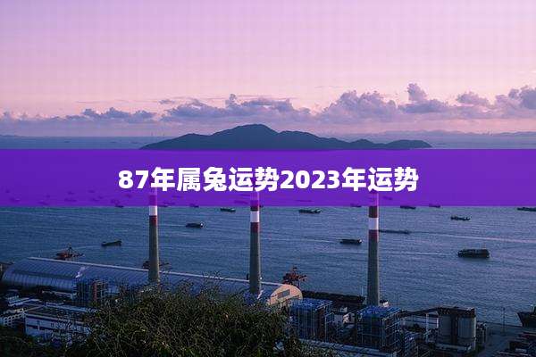 87年属兔运势2023年运势