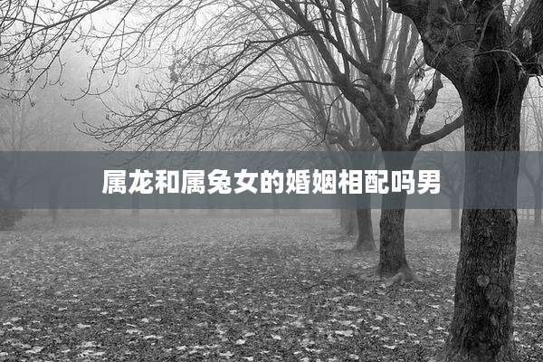 属龙和属兔女的婚姻相配吗男