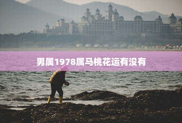 男属1978属马桃花运有没有