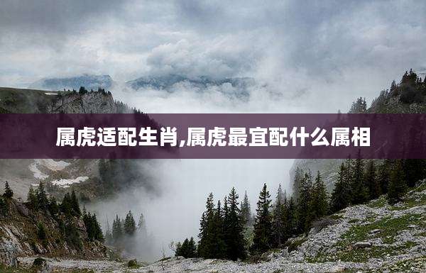 属虎适配生肖,属虎最宜配什么属相