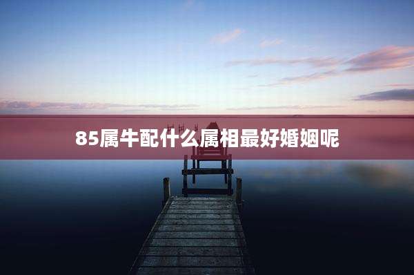 85属牛配什么属相最好婚姻呢