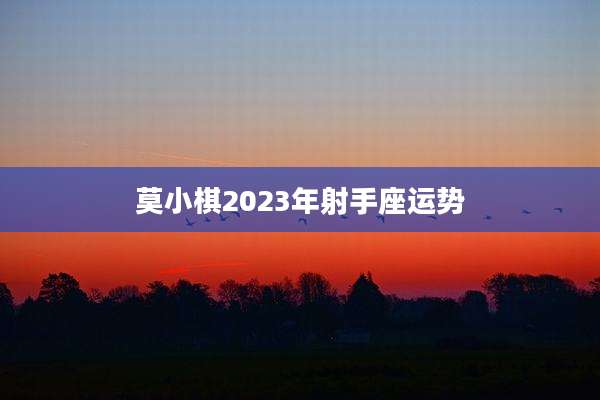 莫小棋2023年射手座运势
