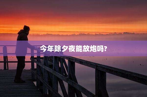 今年除夕夜能放炮吗?