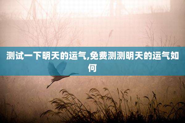 测试一下明天的运气,免费测测明天的运气如何