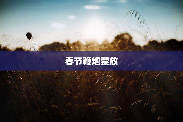 春节鞭炮禁放