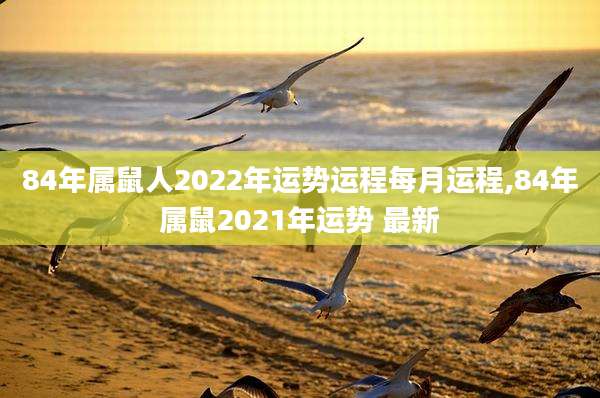 84年属鼠人2022年运势运程每月运程,84年属鼠2021年运势 最新