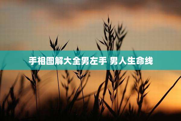 手相图解大全男左手 男人生命线