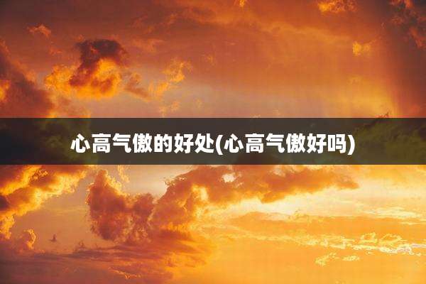 心高气傲的好处(心高气傲好吗)
